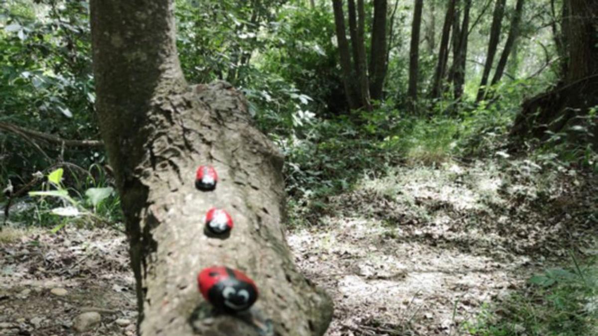 Cantos rodados pintados en varios espacios de la ruta. | E. P.