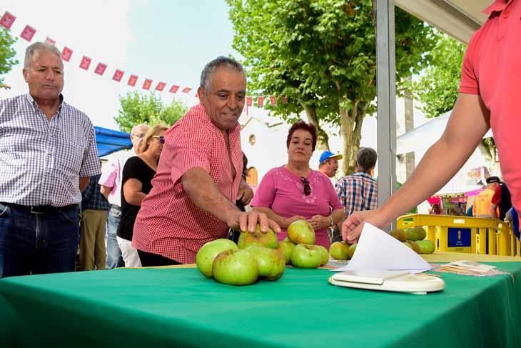 Fiesta de la manzana de Valleseco