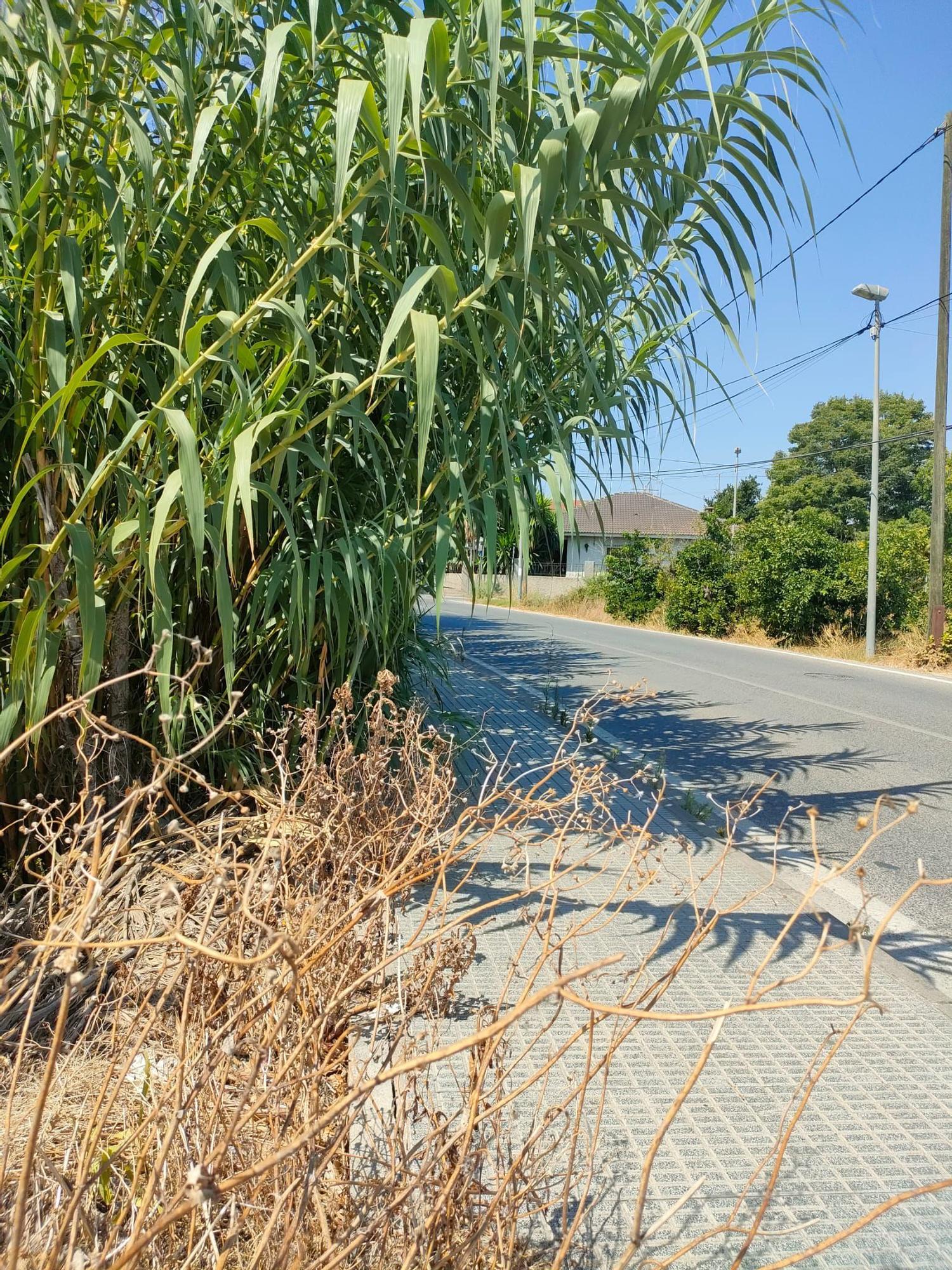 WhatsApp Image 2025-09-30 at 21.34.20.jpeg