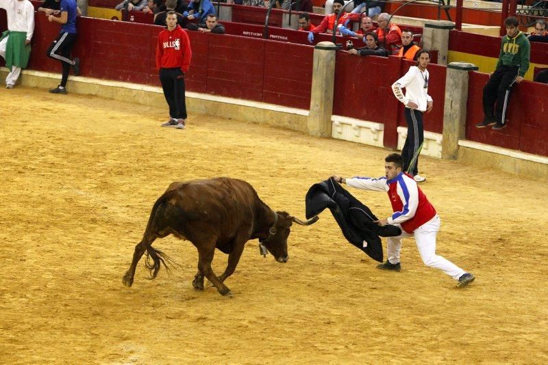 Vaquillas del 9 de octubre