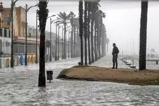 Comprueba hasta dónde subirá el nivel del mar en tu ciudad en 2050