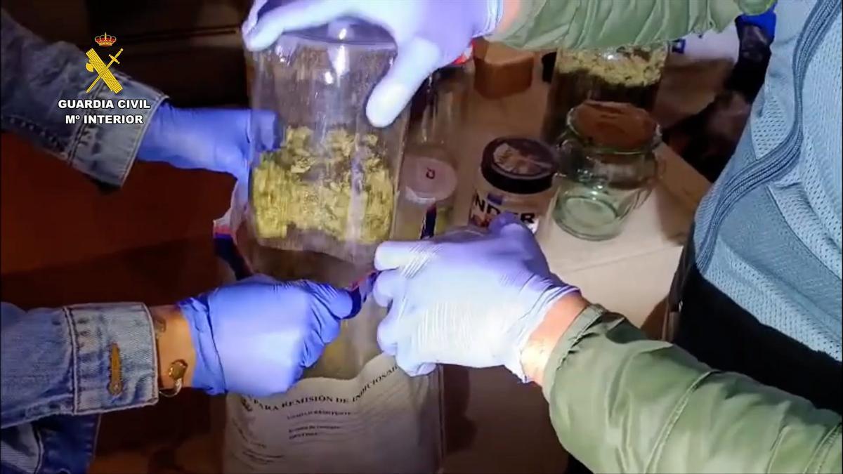 Sustancias incautadas en la Operación Hipona