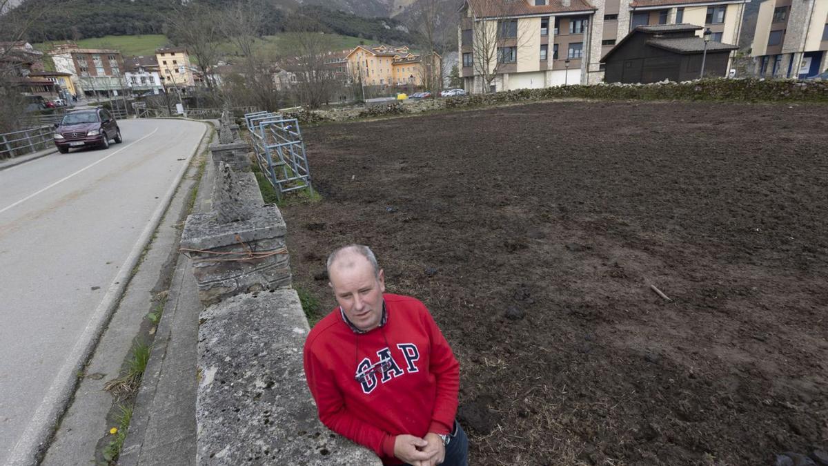 Juan Vicente Vallines, en el terreno del que tuvo que sacar sus vacas en Arenas de Cabrales tras una denuncia