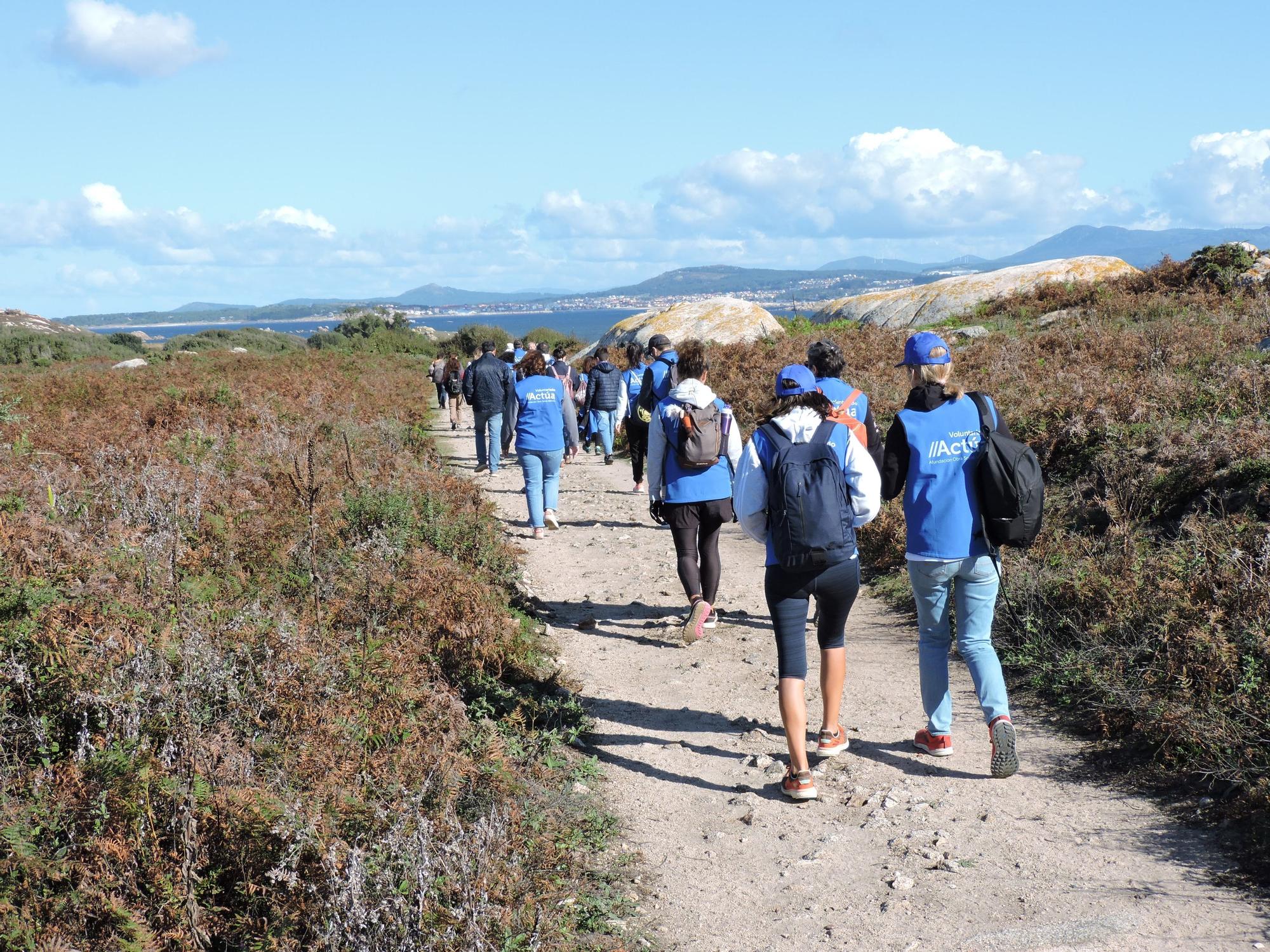 Así luchan los voluntarios de Abanca contra la basura marina y las plantas invasoras en la isla de Sálvora.