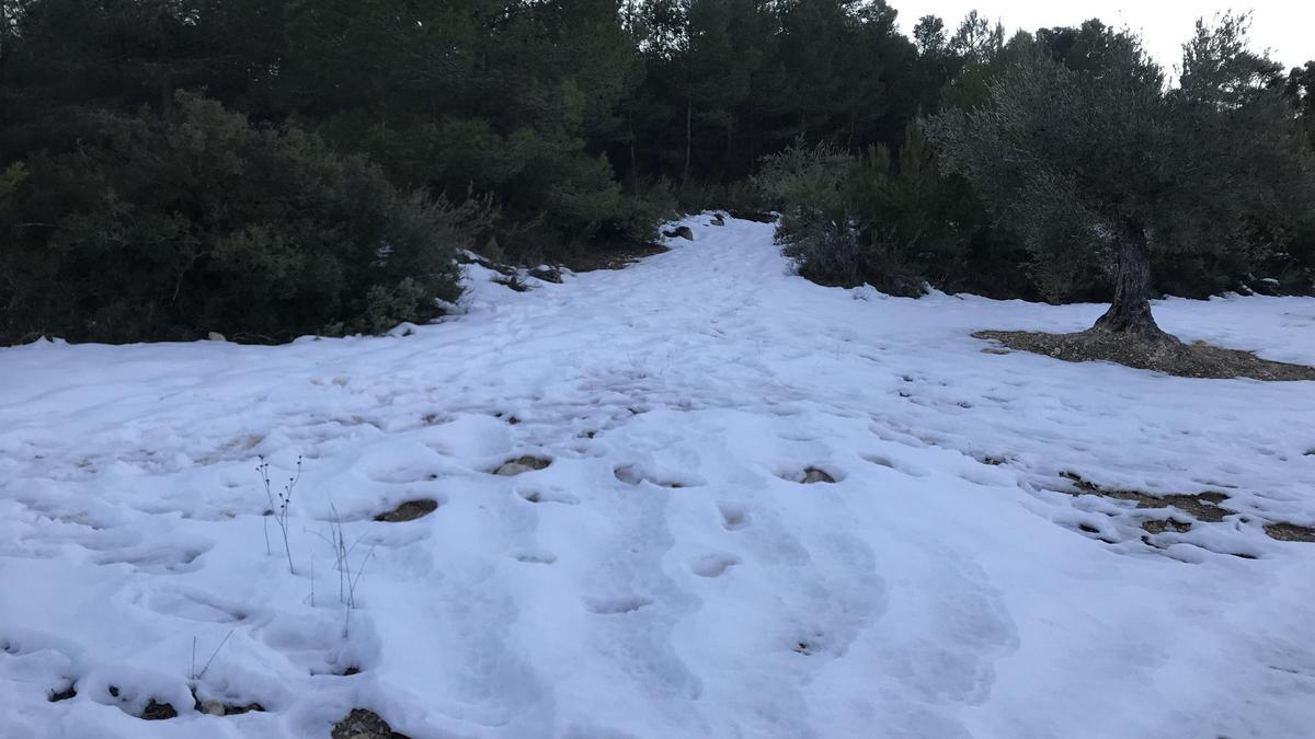 En las zonas más sombrías de la sierra de Salinas todavía se mantenía la nieve el domingo.