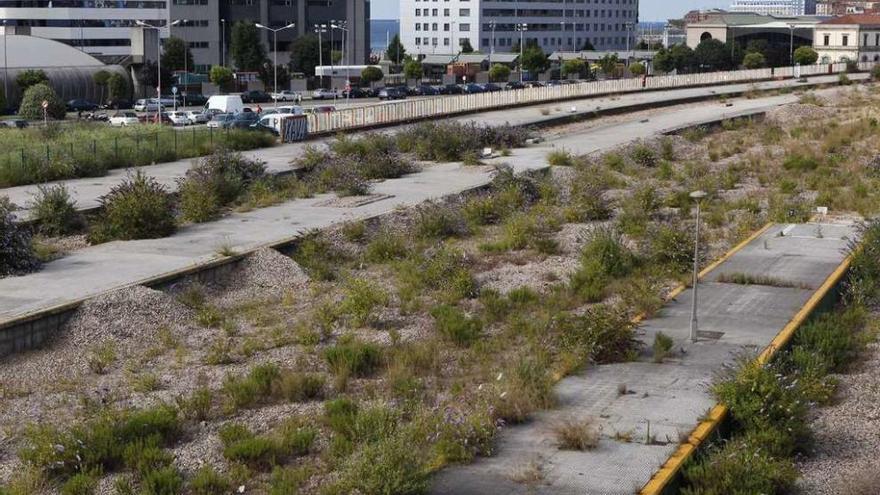 Los terrenos del plan de vías, llenos de maleza desde hace meses.