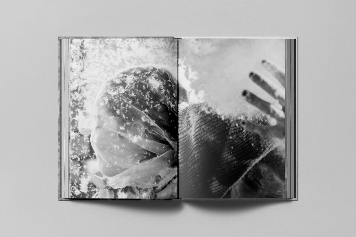 Una de las imágenes del libro.