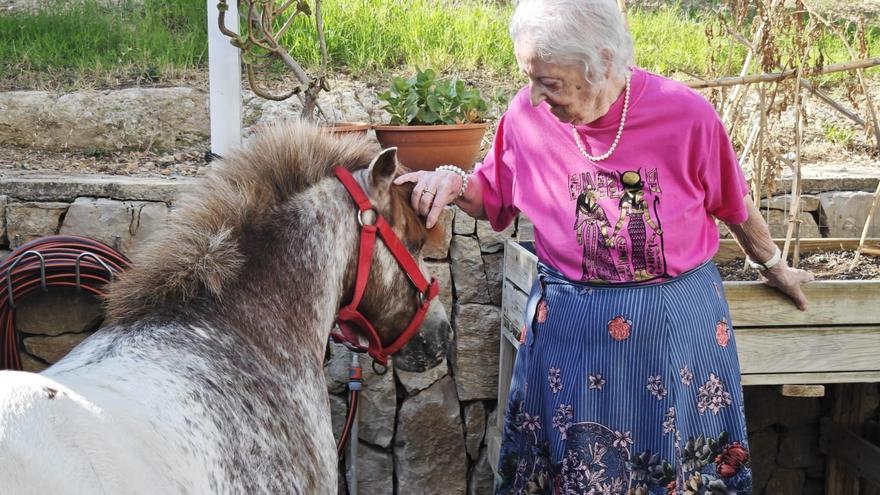 Tierische Therapeuten: So helfen Vierbeiner alten Menschen auf Mallorca