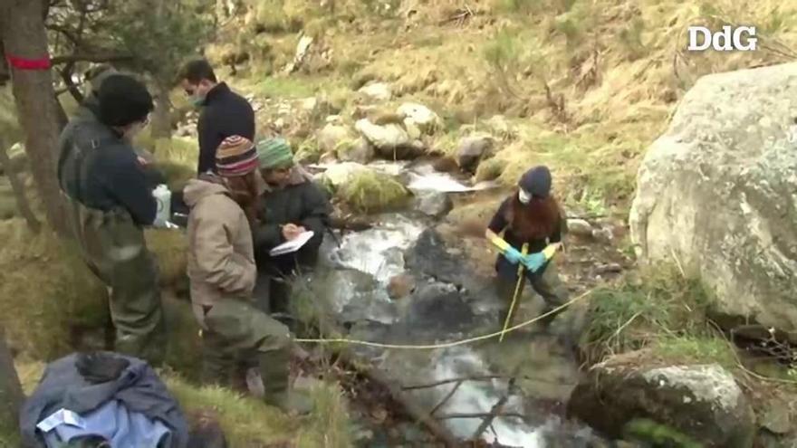 Investiguen la contaminació per plàstics als rius del Pirineu
