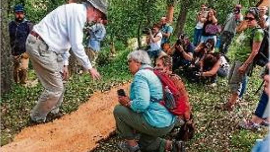 Un moment de la primera estada de turistes americans a Girona.