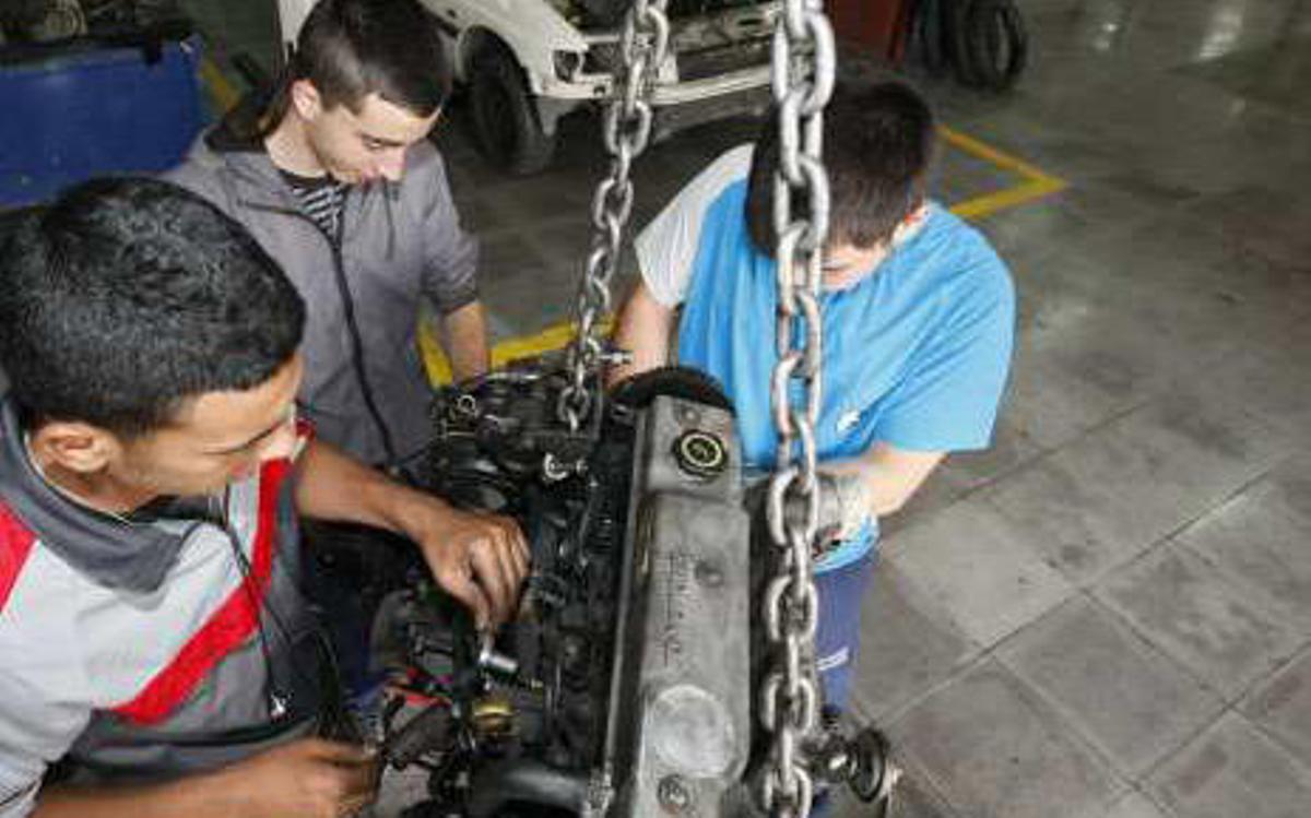 Donde nadie crece solo