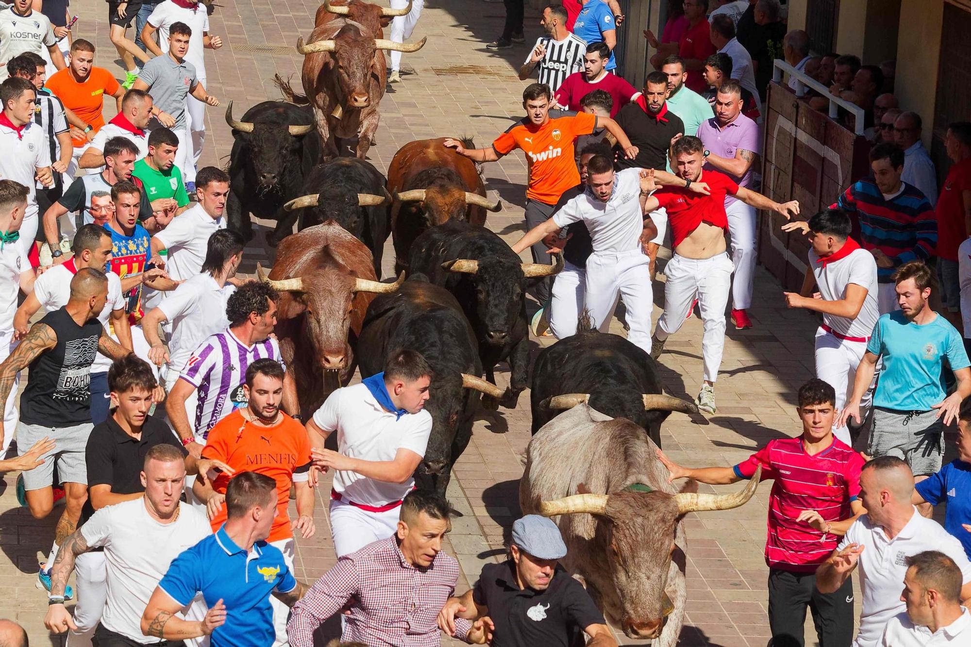 Las imágenes del primer encierro de las fiestas de Almassora
