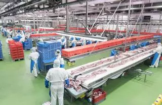 El porcino aragonés logra emanciparse de China y marca otro récord de exportación