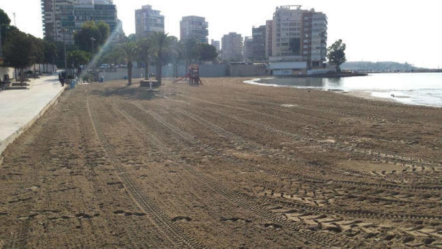 La playa de la Albufereta quedó ayer lista para recibir a los bañistas este fin de semana