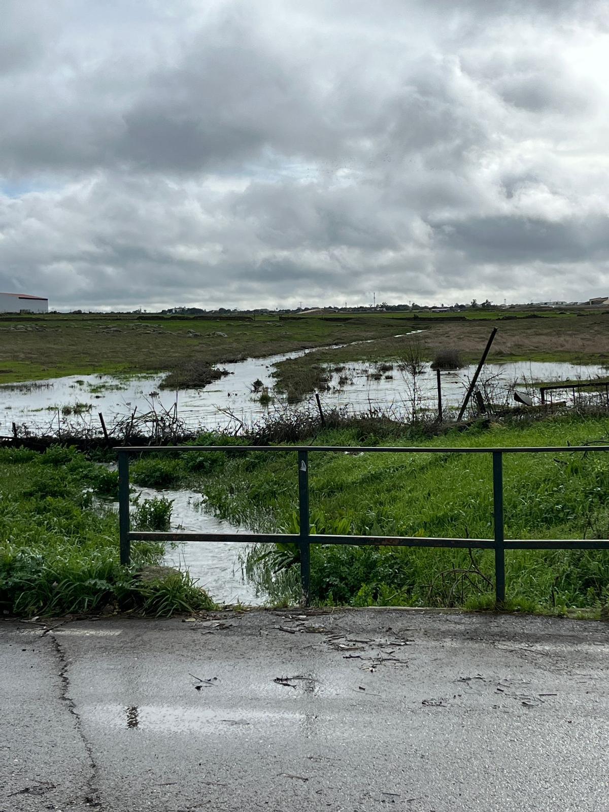 Visita a la Estacion Arroyo Malpartida.