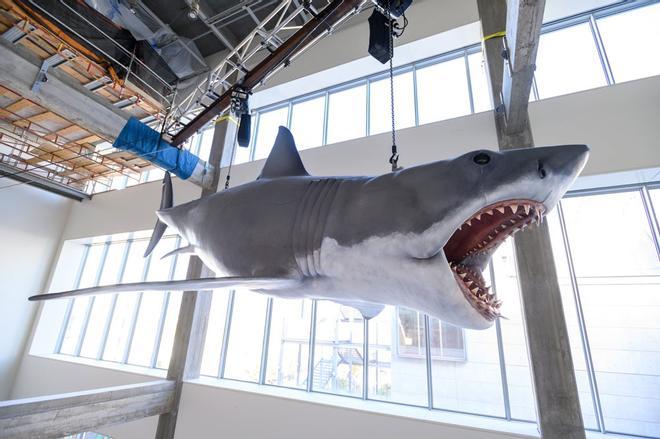 Tiburón en museo cine los angeles