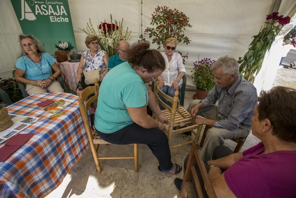 La Fireta del Camp d''Elx, la gran oferta de ocio del fin de semana.