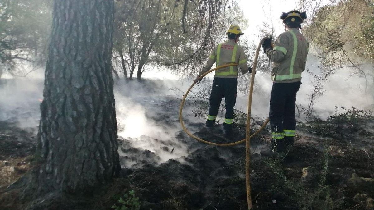 Els bombers treballen en un incendi de vegetació a Tarragona Els bombers treballen en un incendi de vegetació a Tarragona
