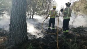 Els bombers treballen en un incendi de vegetació a Tarragona