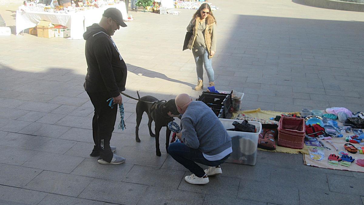 El Rastrillo Solidario de la Protectora, este domingo, en la plaza del Ayuntamiento.