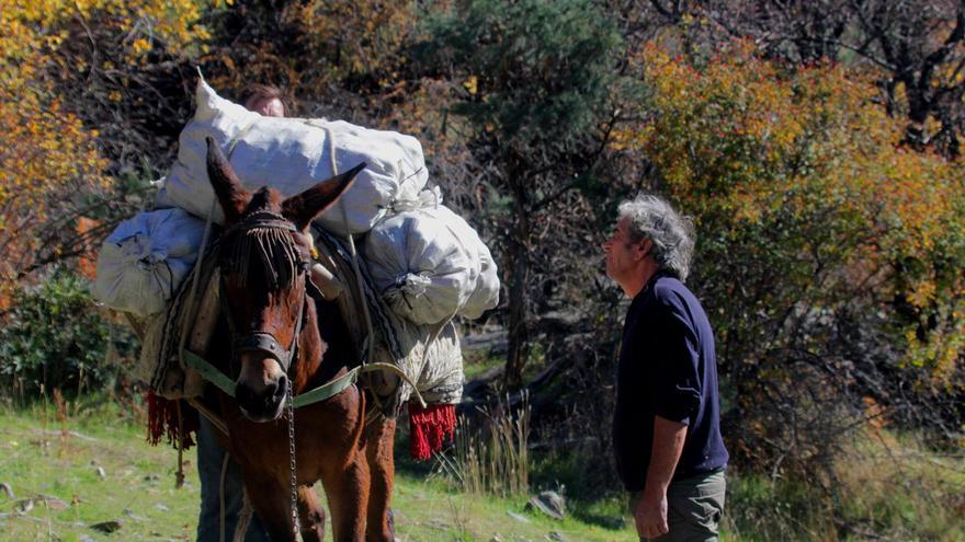 Sidra en la tierra del rebujito: el desconocido lagar de Sierra Nevada que elabora a dos mil metros de altitud