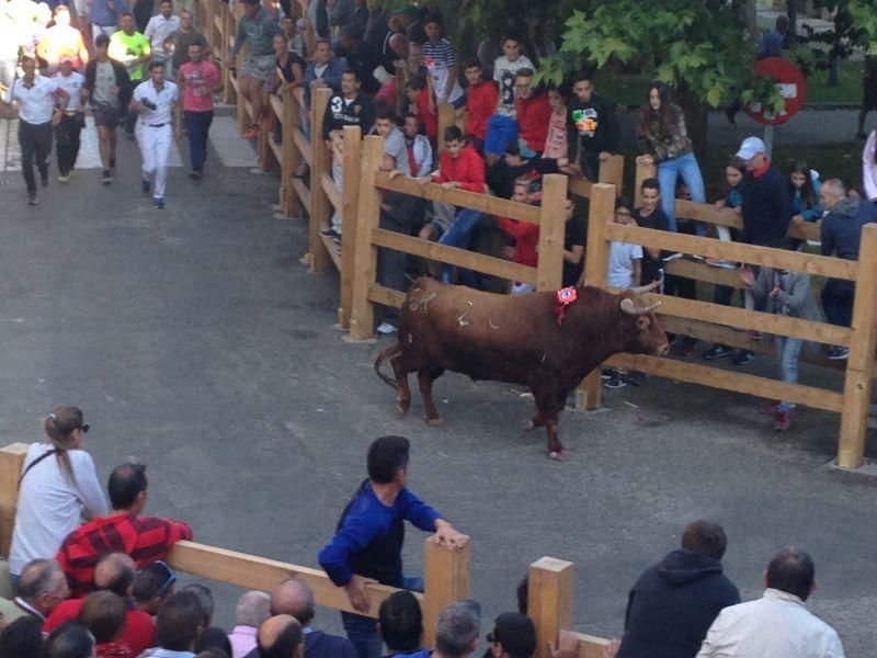 Toro de cajón y encierro urbano en Toro