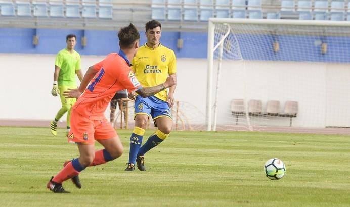 PARTIDILLO UDLP- UDLP C