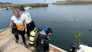Primer chapuzón para la Virgen del Carmen de Tapia: se sumerge en el puerto para proteger a las gentes del mar