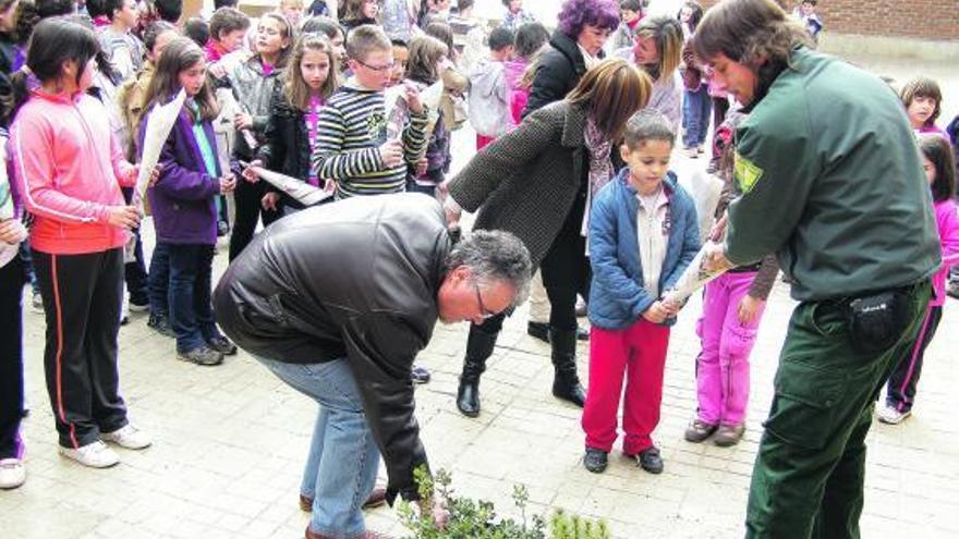 Los niños del CEIP «Virgen de la Salud» de Alcañices  hacen cola para coger los plantones.