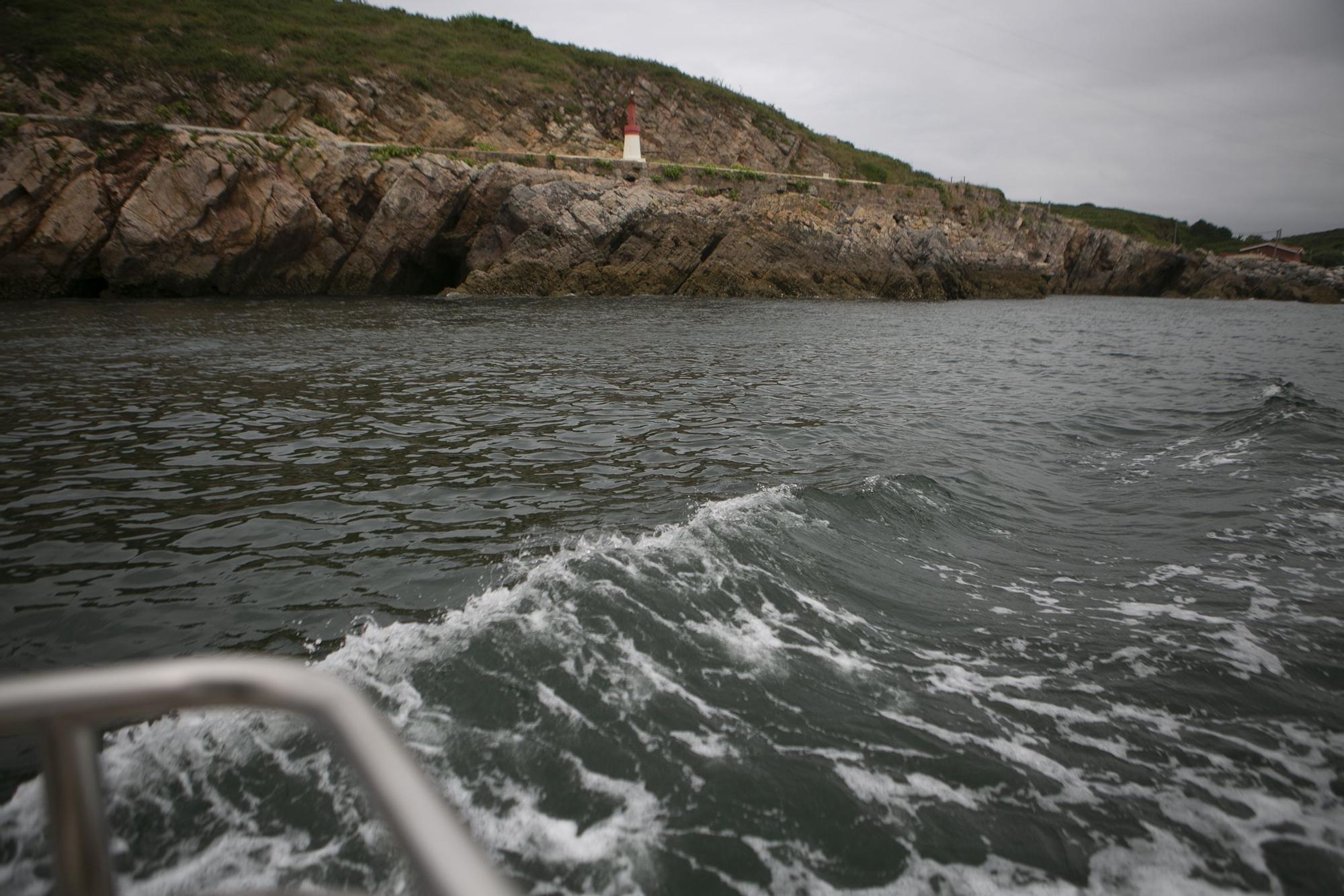 En imágenes: Avilés recupera sus paseos por la ría