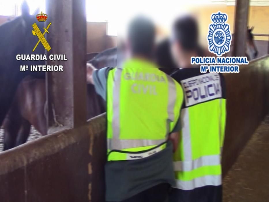 Desarticulan un clan familiar liderado por dos mujeres que distribuían droga a pequeños vendedores de la provincia de Málaga