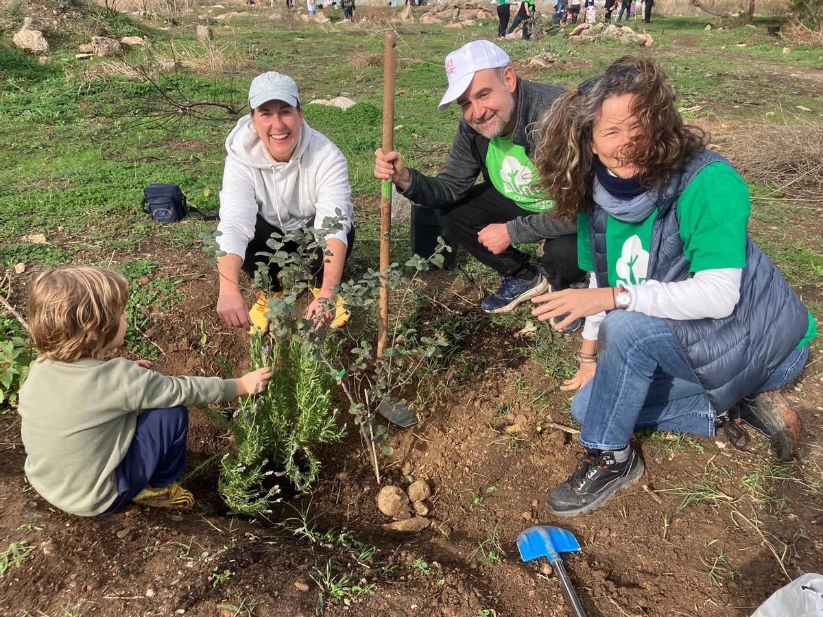 Voluntarios de la plataforma Bosque Urbano Málaga plantan 60 árbolesen los antiguos terrenos de Repsol