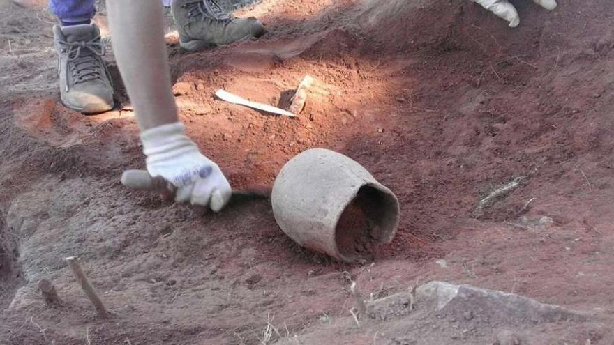 Hallazgo del vaso campaniforme durante los trabajos que se están realizando en Alperiz.