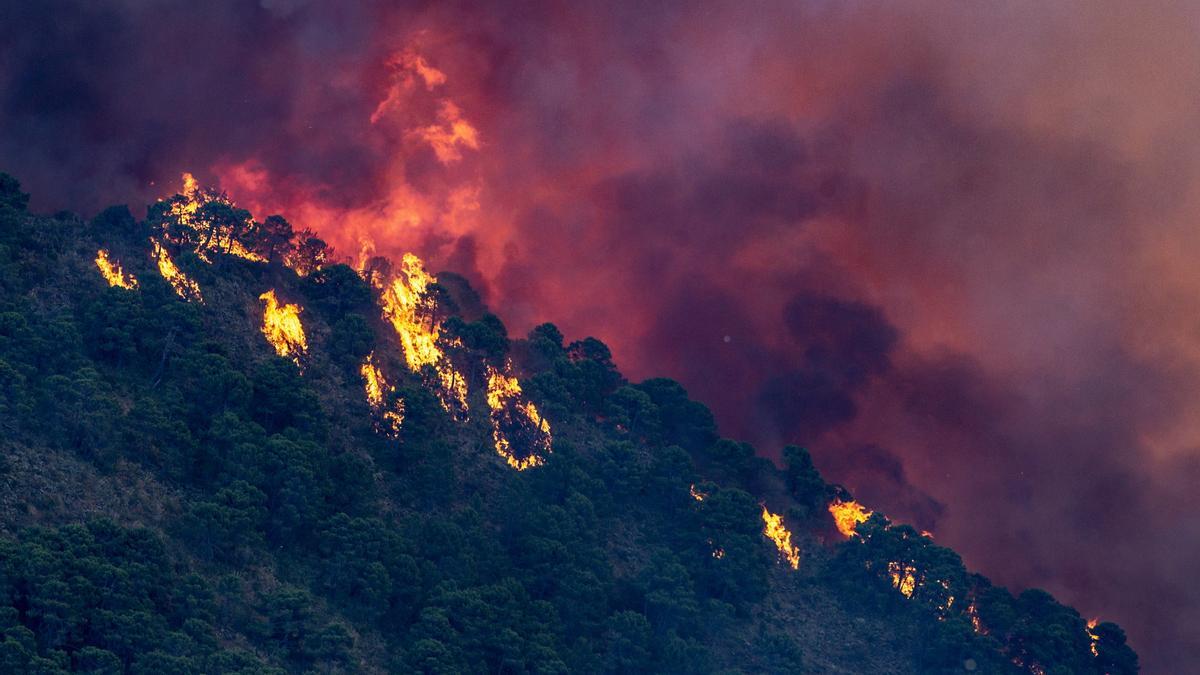 Una imagen del incendio de Pujerra, en la Sierra Bermeja (Málaga).