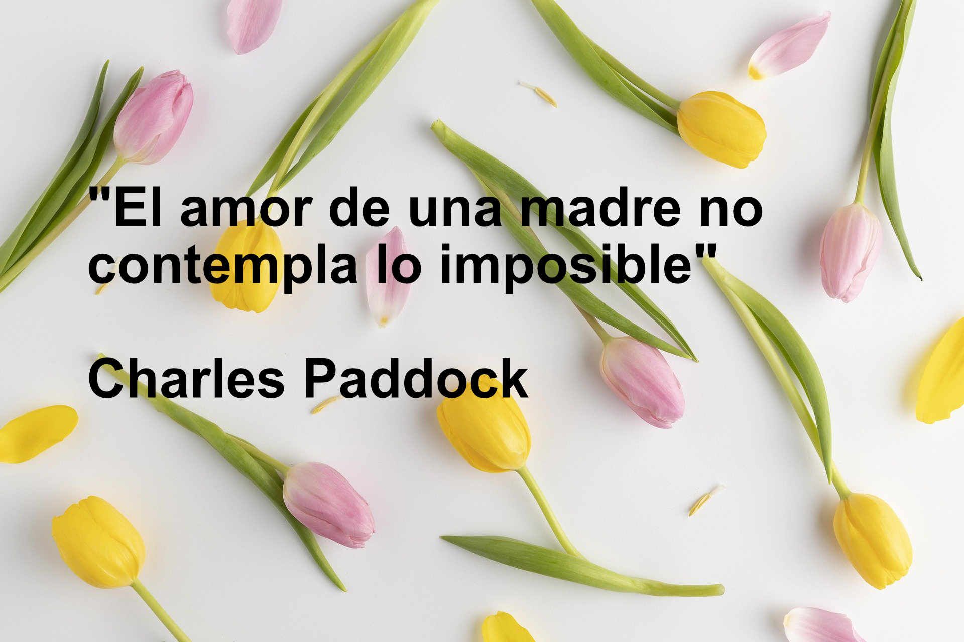 frases-dia-madre-12.jpg