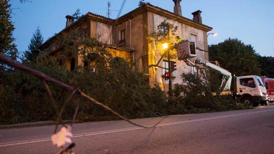 El árbol y el cable de alta tensión, siendo retirados ayer.