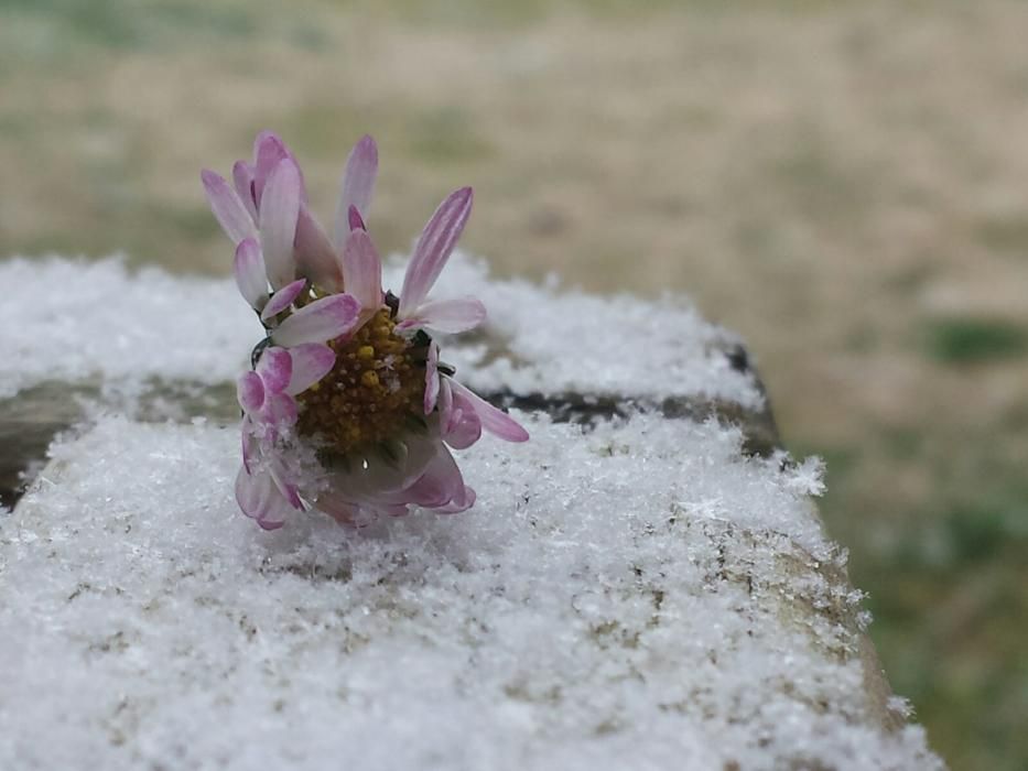 La neu et regala moments únics.