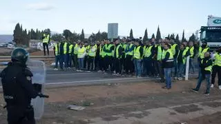 Los agricultores vuelven a la carga en las carreteras de la Región