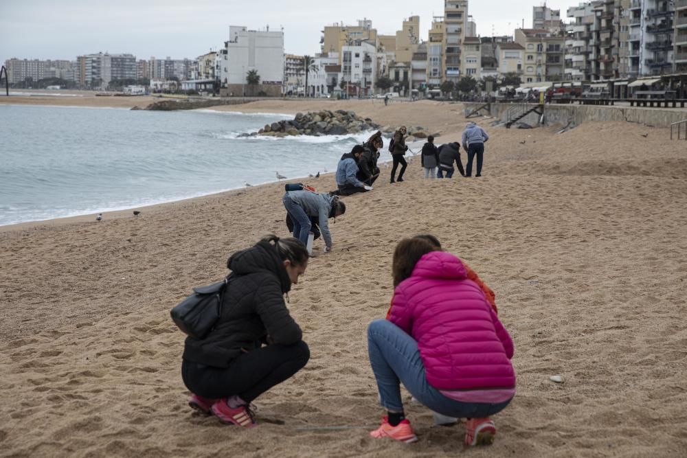 Jornada de mostreig i conscienciació contra els micro i mesoplàstics a Blanes