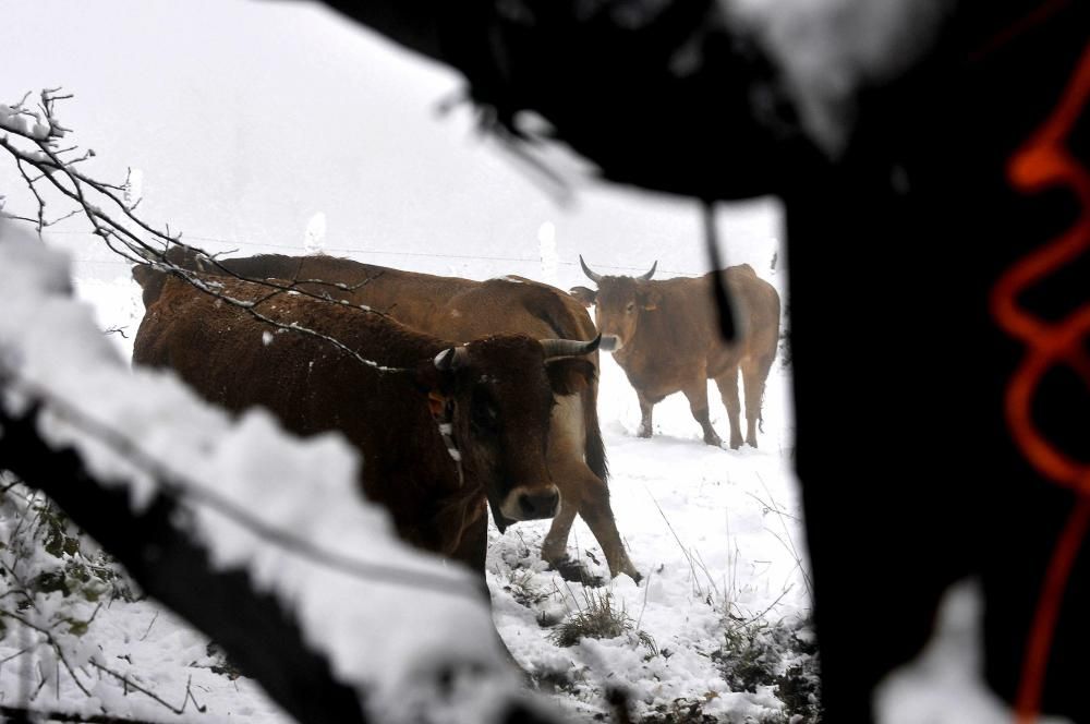 Las primeras nieves del otoño en Asturias