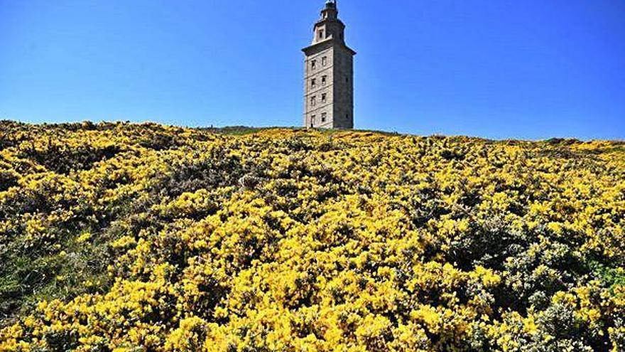 Vista de la Torre de Hércules de A Coruña.