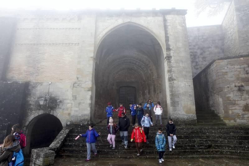 Sos del Rey Católico