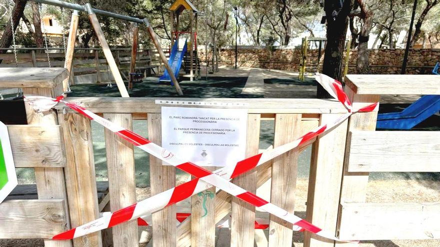 La plaga de procesionaria obliga a cerrar un parque infantil en Formentera
