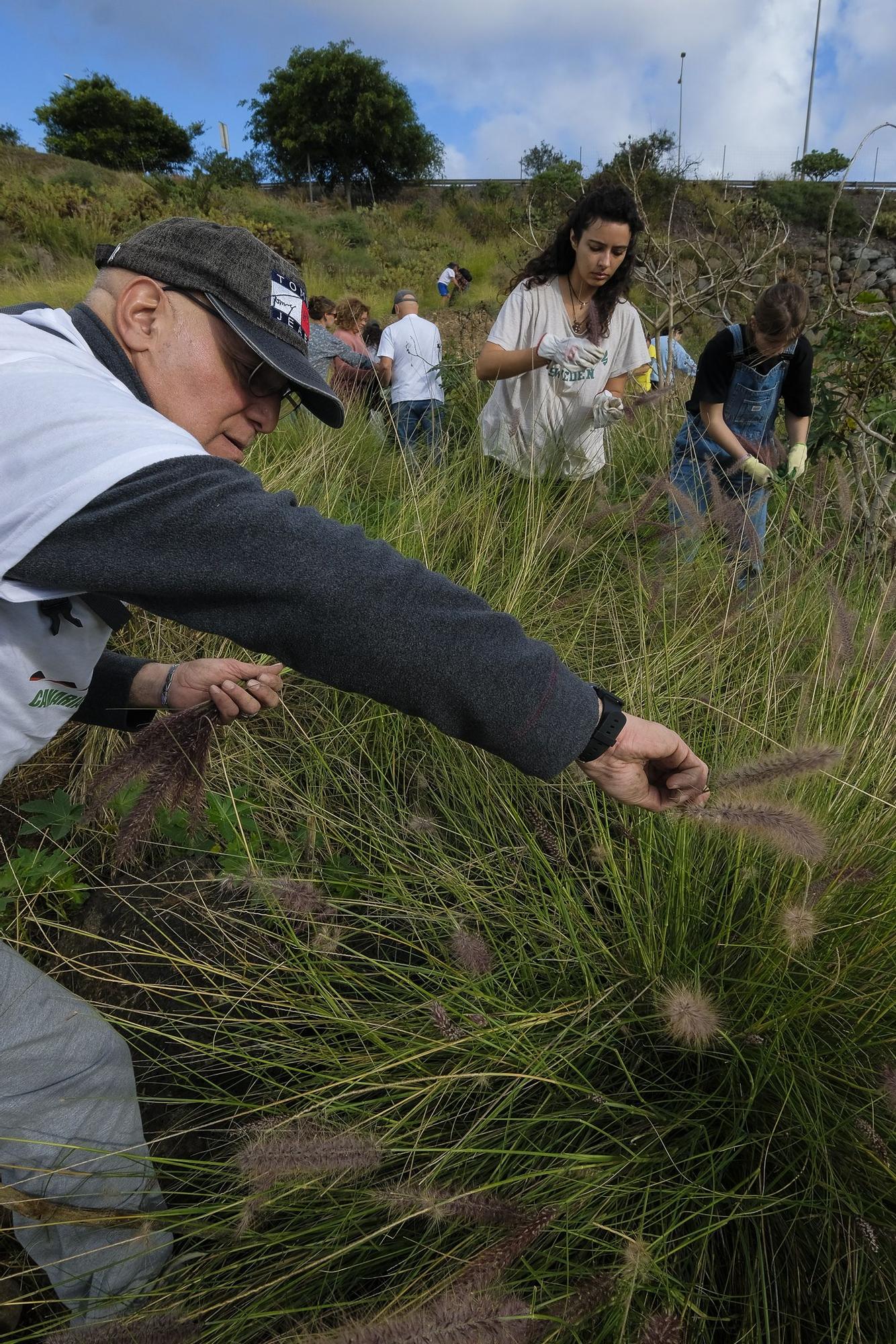 La Sinfónica de Bamberg participa en una reforestación simbólica en Tamaraceite para compensar su huella de carbono