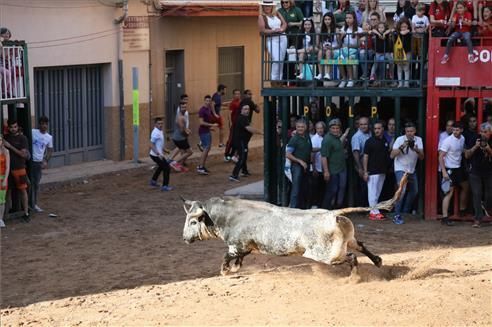 Dia del Major en Almassora