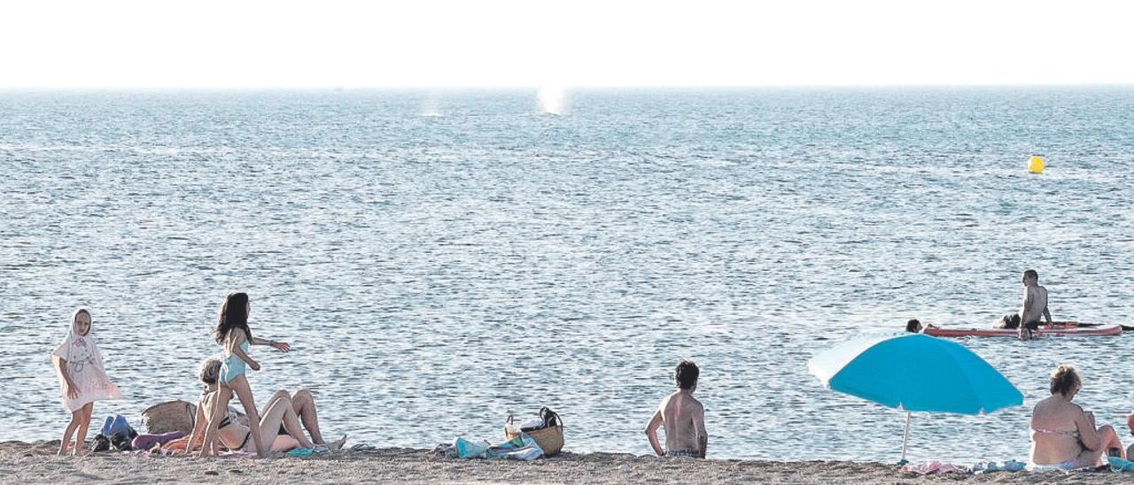 Rorcuales comunes cerca de la playa de Rotes en Dénia.