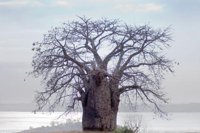 La desconocida Angola despierta