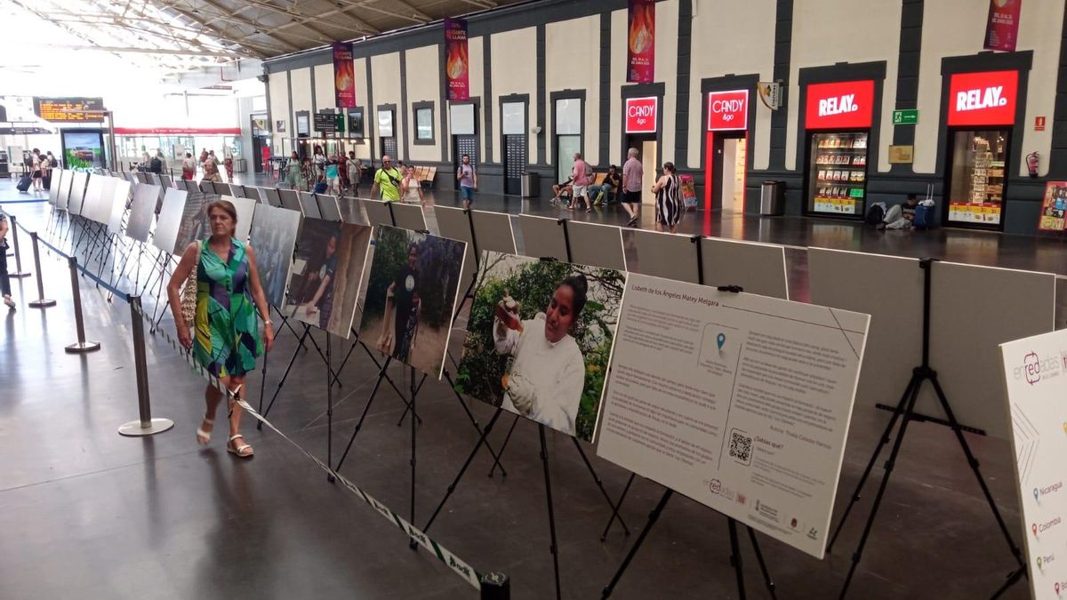 Exposición "Enredadas en el cambio" en la estación tren de Alicante