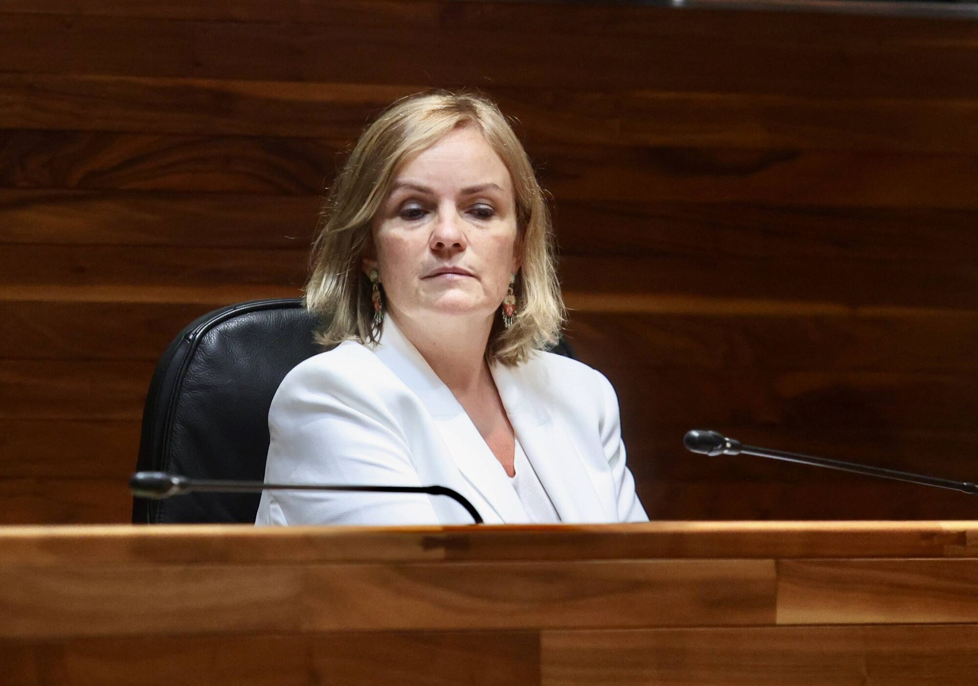 Así fue la sesión de control al Gobierno en la Junta del Principado