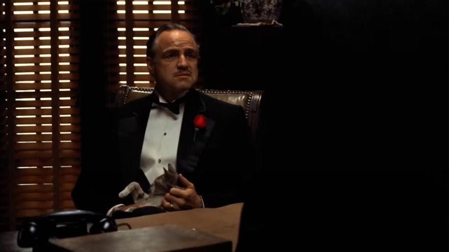 El gato de Marlon Brando no estaba en el guion en ‘El padrino’